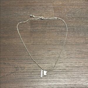 Silver Minnesota coordinates necklace